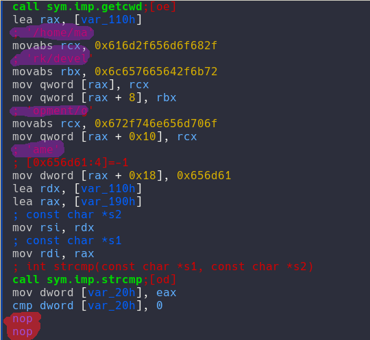 ltrace path check radare2